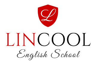 lincool zdzieszowice logo