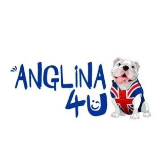 anglina 4u koszyce logo